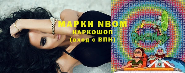 сатива Покров