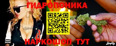 гашик Абинск