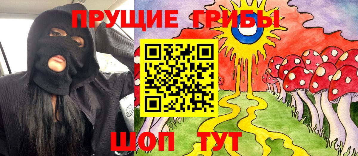 Псилоцибиновые грибы Cubensis  Псилоцибиновые грибы мухоморы  Азнакаево 