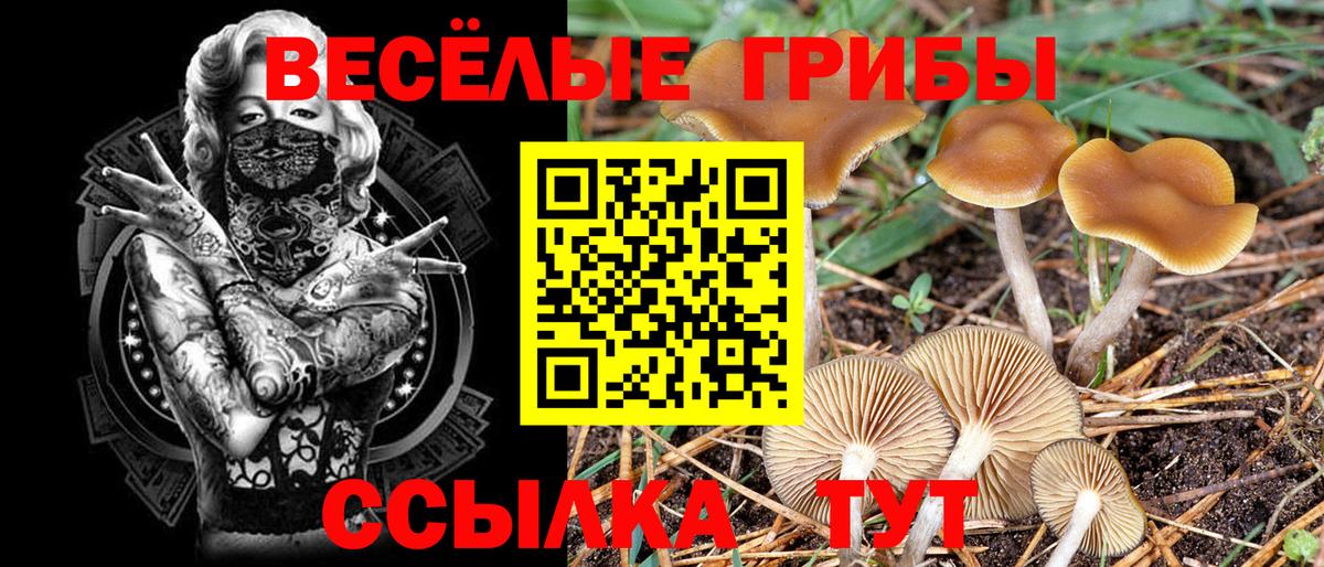 Азнакаево  Галлюциногенные грибы GOLDEN TEACHER  Вход с VPN 