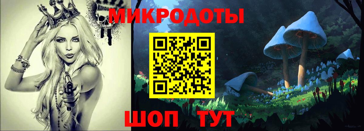 Псилоцибиновые грибы Psilocybine cubensis Азнакаево