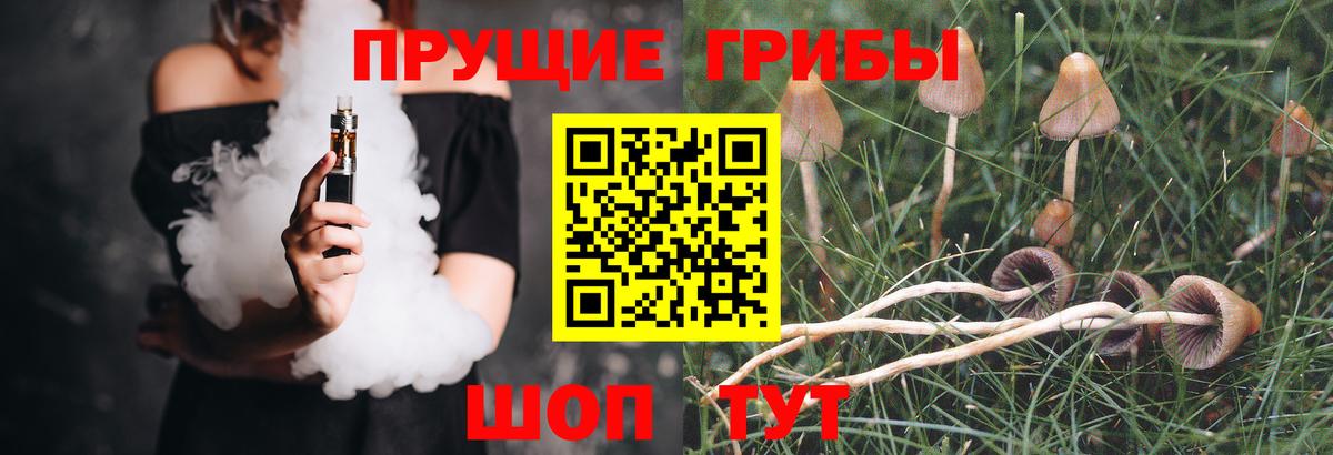 Псилоцибиновые грибы MAGIC MUSHROOMS Азнакаево